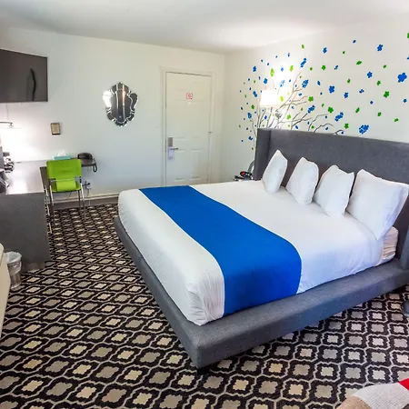 University Inn Asu/Tempe (Adults Only)-2